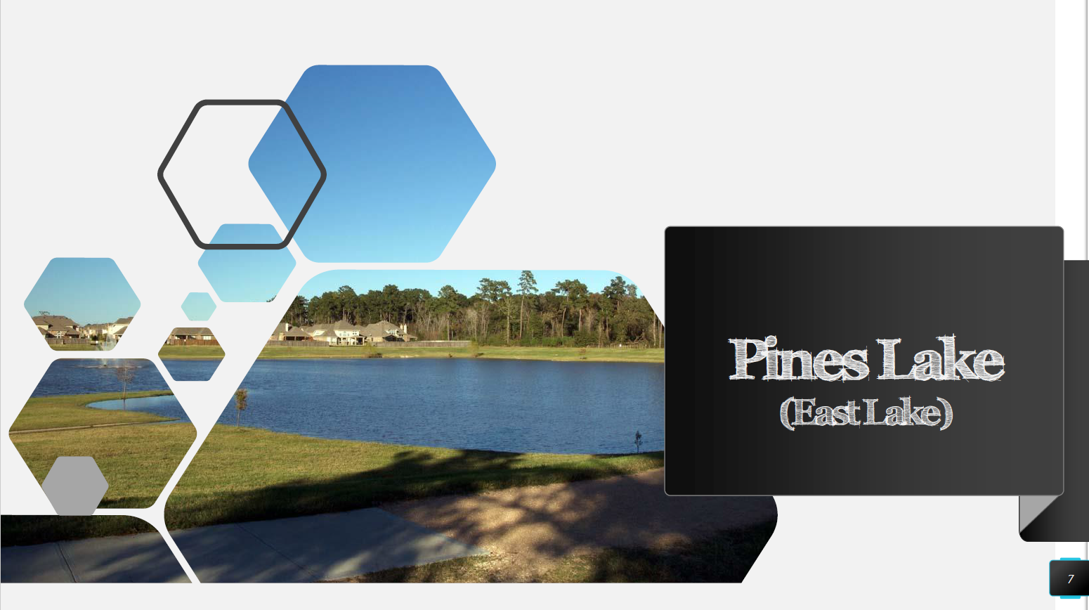 Pines Lake (East Lake)